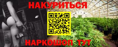 гашик Боровичи