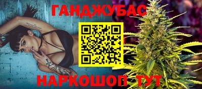 гашик Боровичи