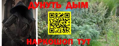 гашик Боровичи