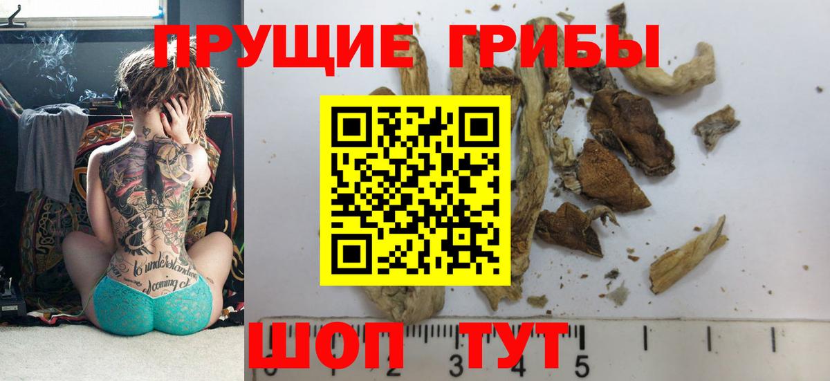 Псилоцибиновые грибы мухоморы Нижнеудинск